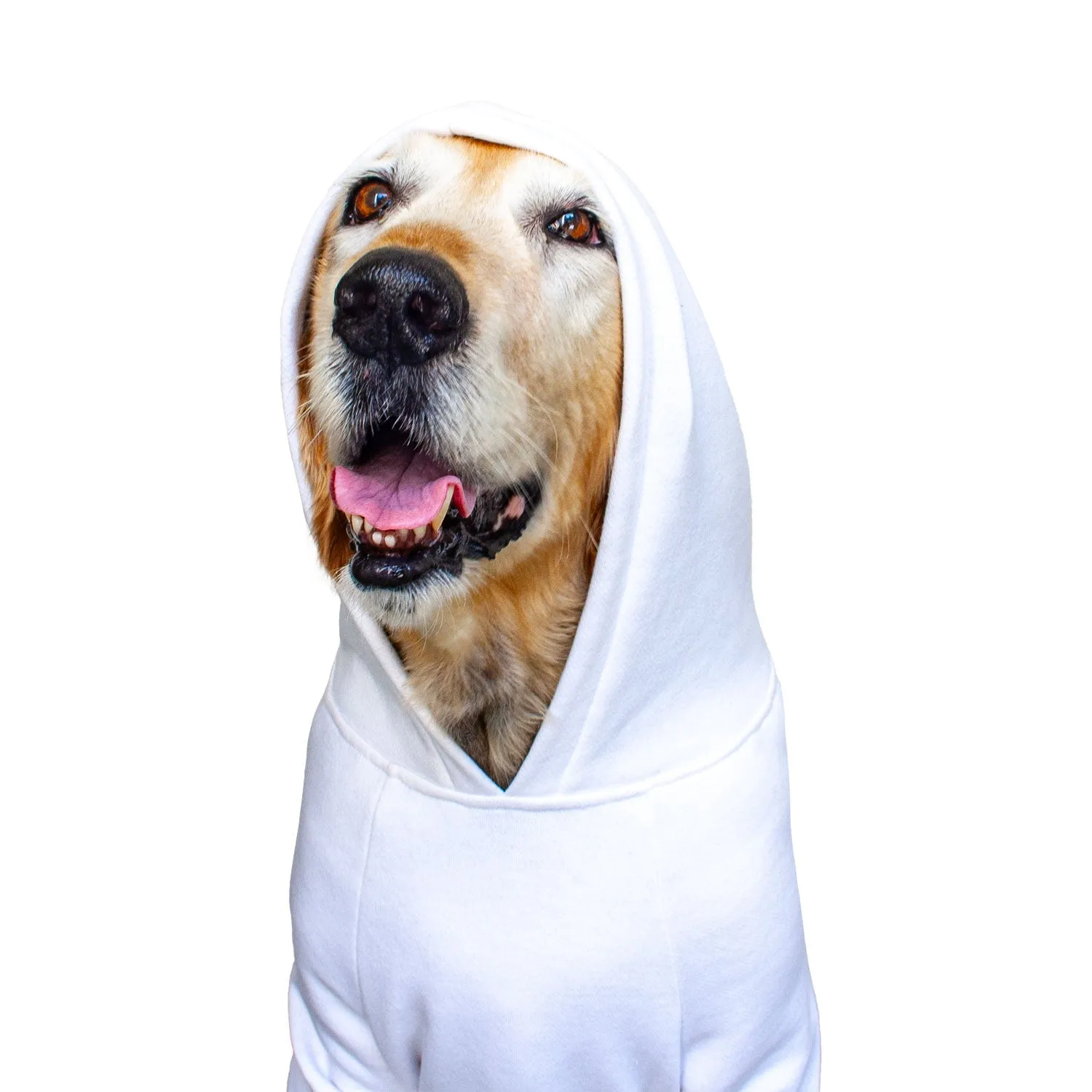 Striped Kangaroo Pocket Jumper Hoodie for Dogs